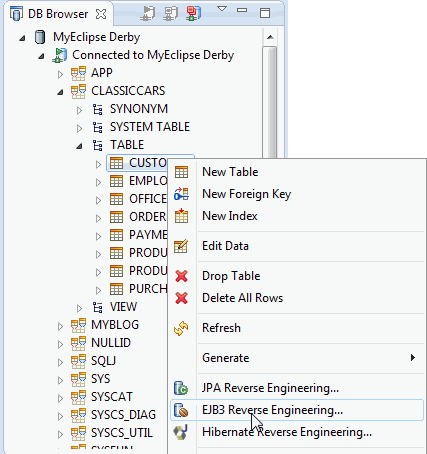 使用MyEclipse開發(fā)Java EE應用